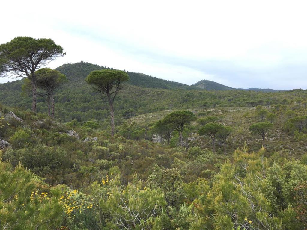 La Villa Aux Oliviers Le Val Kültér fotó
